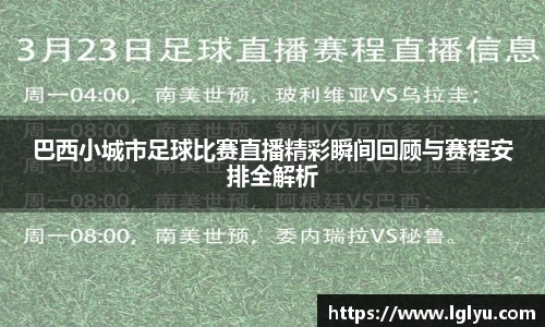 巴西小城市足球比赛直播精彩瞬间回顾与赛程安排全解析